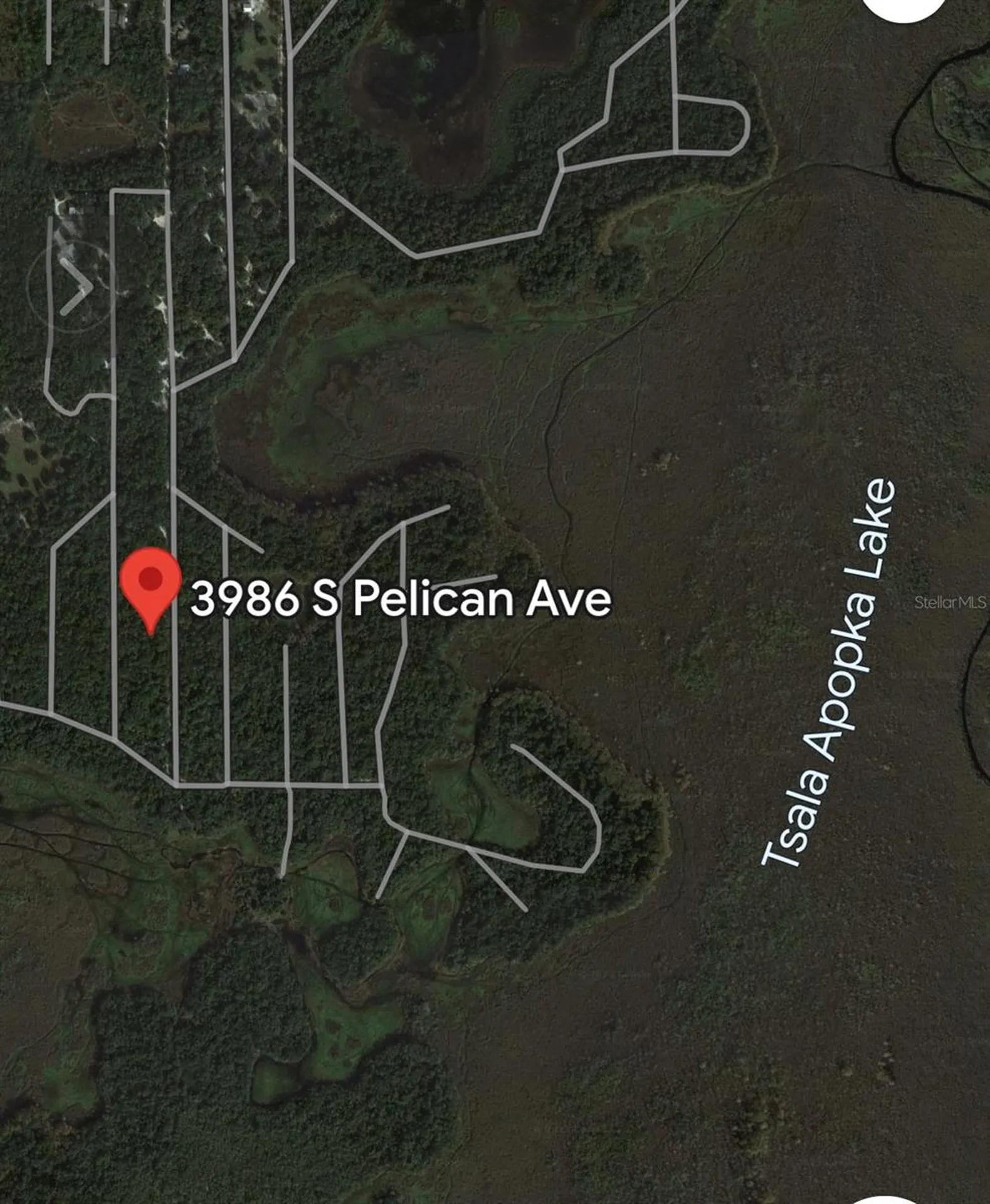 3986 S Pelican Avenue Inverness FL 34450