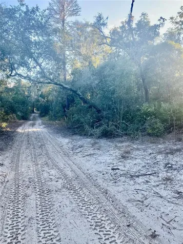 3986 S Pelican Avenue Inverness FL 34450