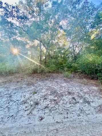 3986 S Pelican Avenue Inverness FL 34450