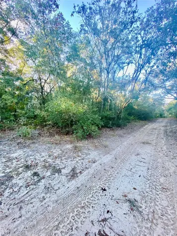 3986 S Pelican Avenue Inverness FL 34450