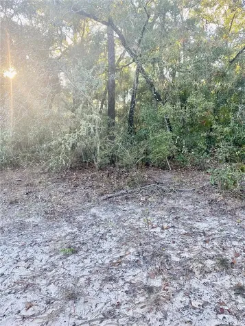 3986 S Pelican Avenue Inverness FL 34450