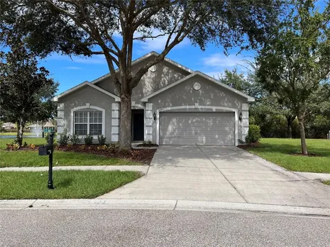 6245 Dainty Bess Court Land O Lakes FL 34639