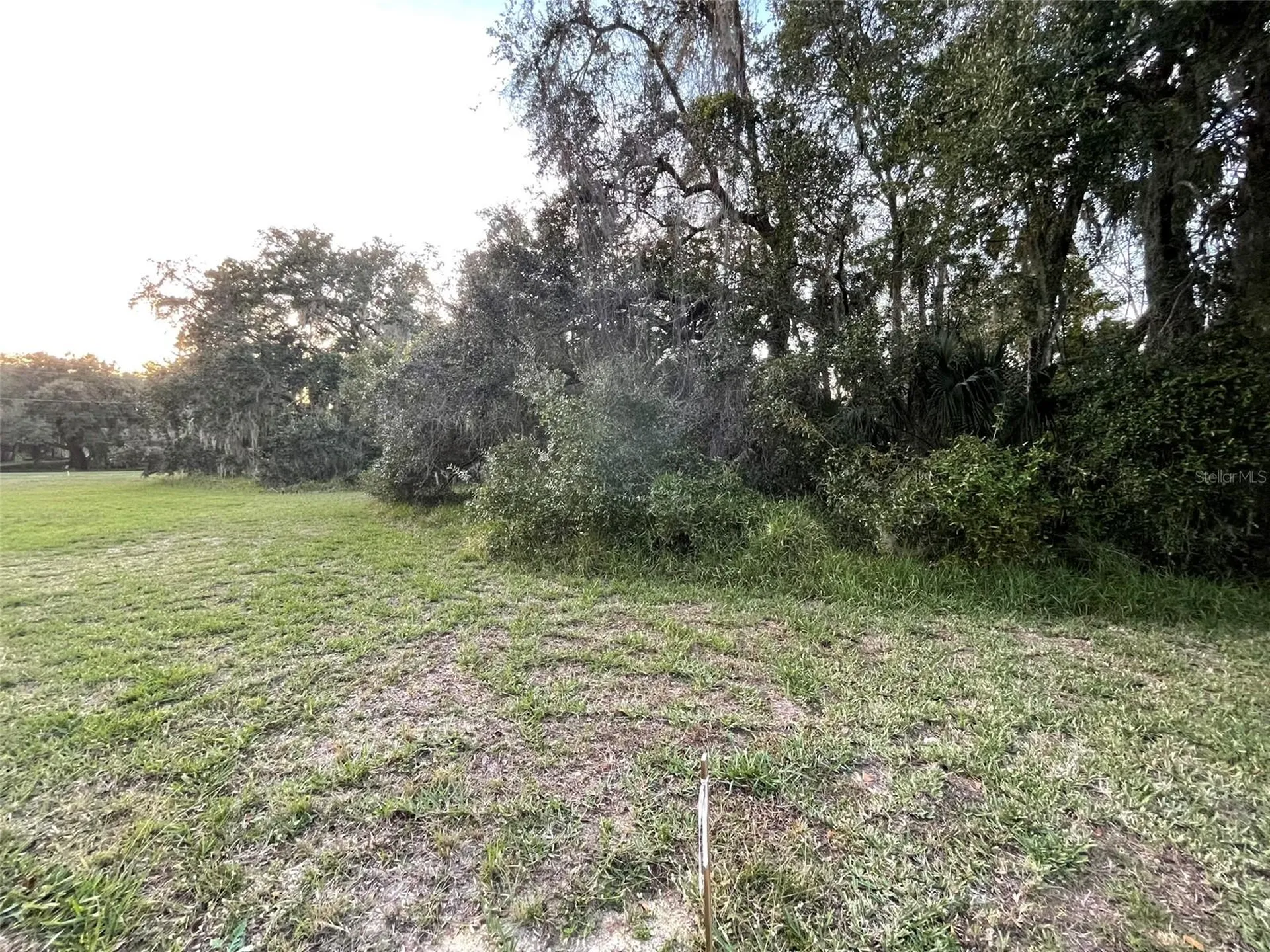11631 W Timberlane Drive Homosassa FL 34448