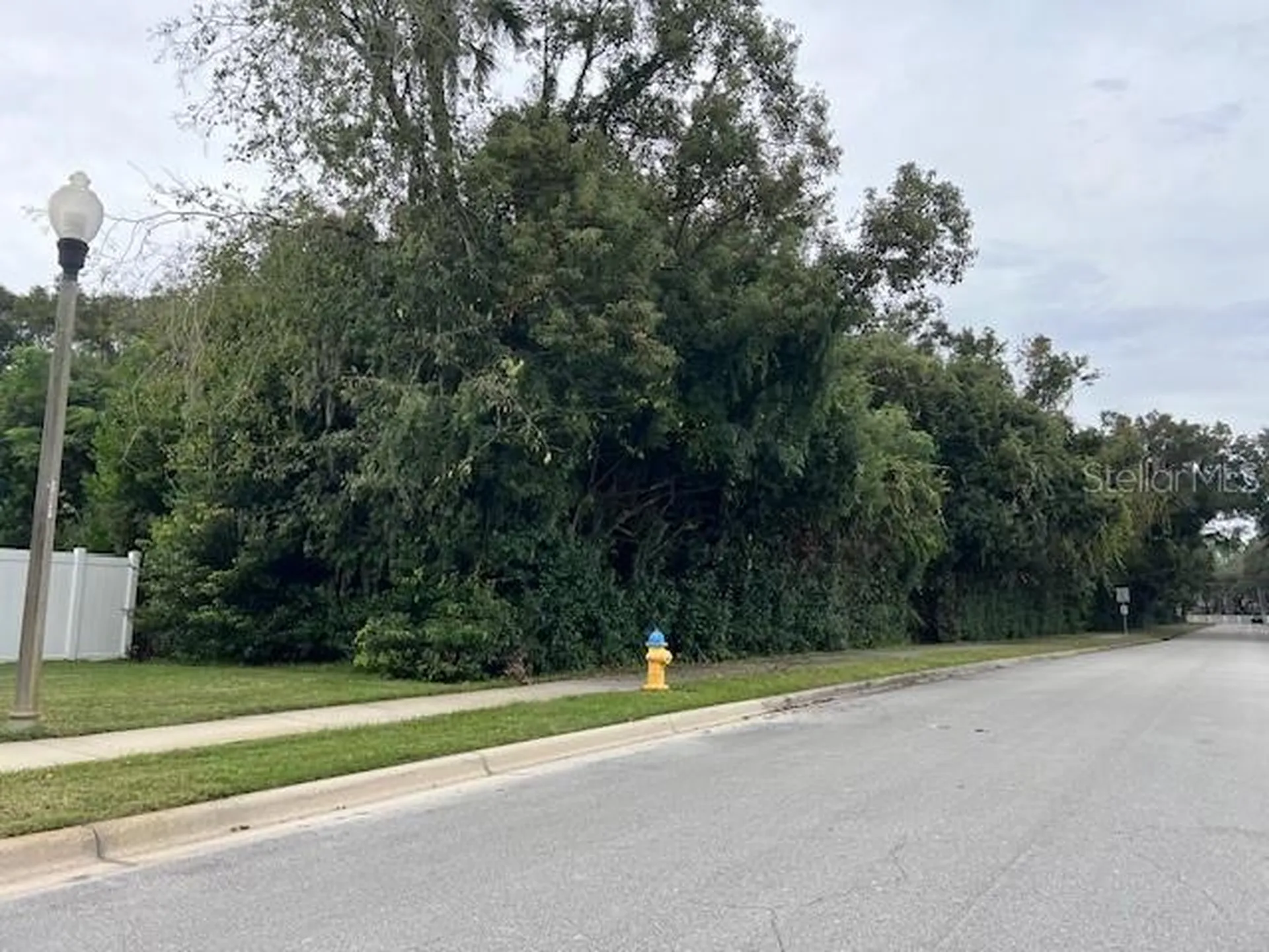 1290 W Plymouth Avenue Deland FL 32720