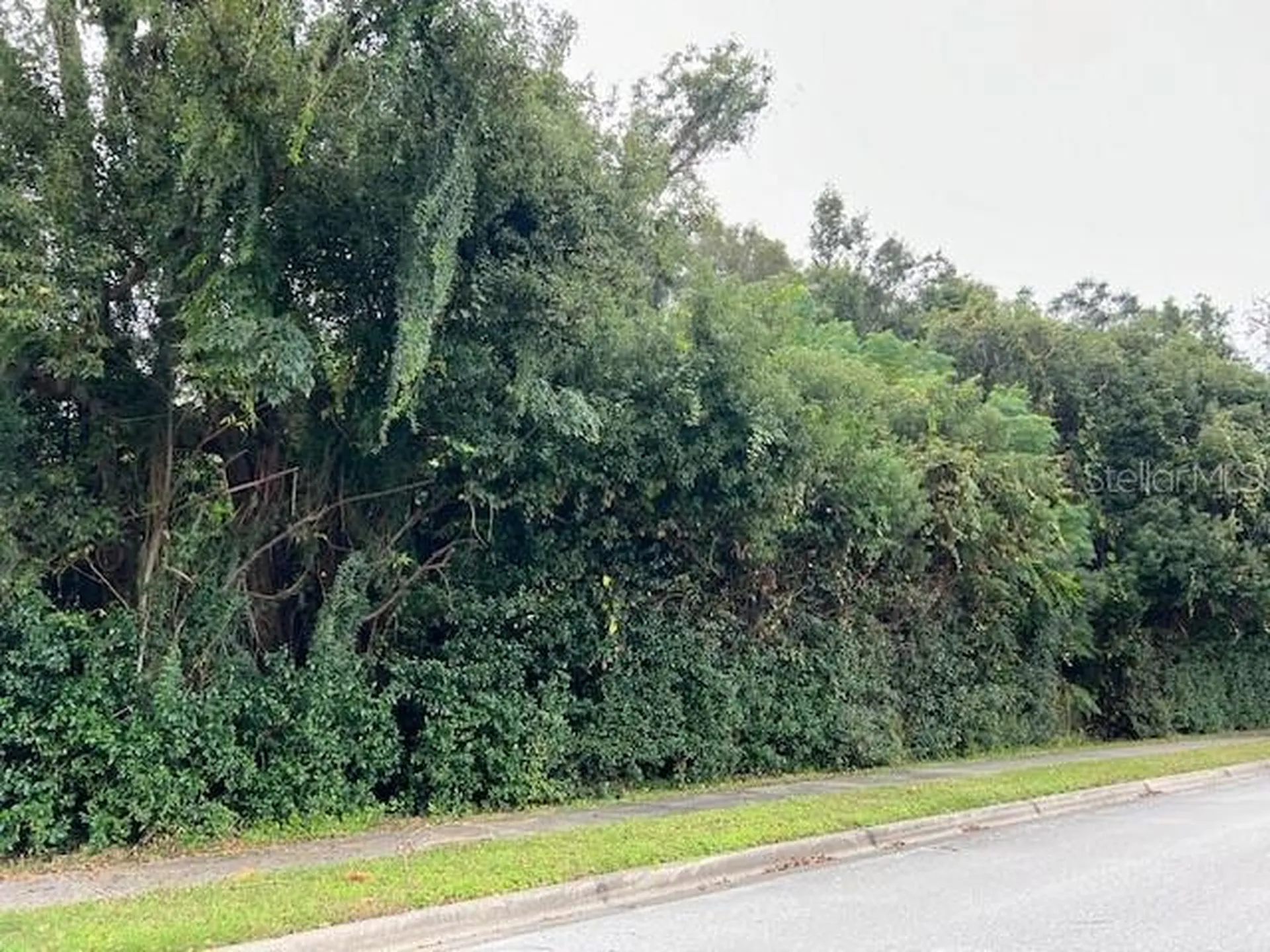 1290 W Plymouth Avenue Deland FL 32720