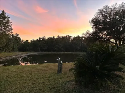 29224 Crossland Drive Wesley Chapel FL 33543
