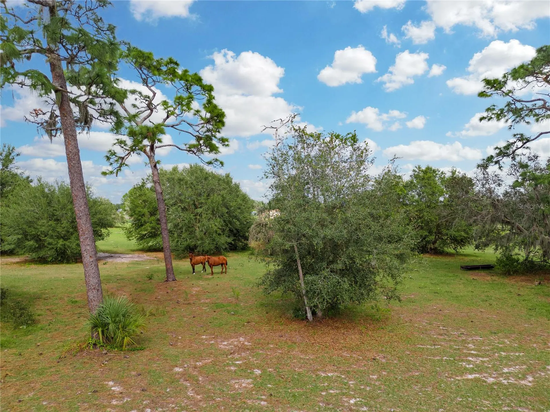 State Road 60 E Lake Wales FL 33898