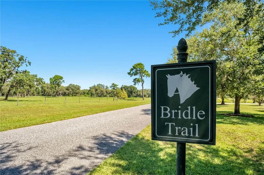 26000 Splendid Meadow Court Astatula FL 34705