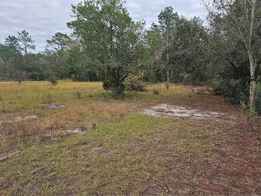 109 Harbour Street Interlachen FL 32148