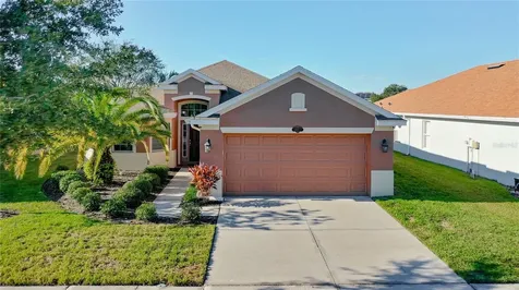 10917 Observatory Way Tampa FL 33647