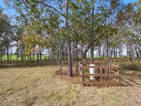 1950 SE 140th Terrace Morriston FL 32668