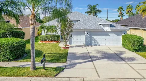 3403 Coconut Grove Road Land O Lakes FL 34639