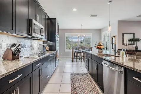 7694 Roma Dune Drive Wesley Chapel FL 33545