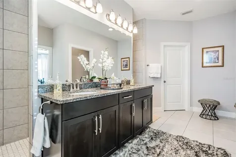 7694 Roma Dune Drive Wesley Chapel FL 33545