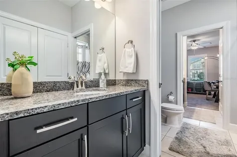 7694 Roma Dune Drive Wesley Chapel FL 33545
