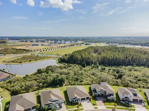 7694 Roma Dune Drive Wesley Chapel FL 33545