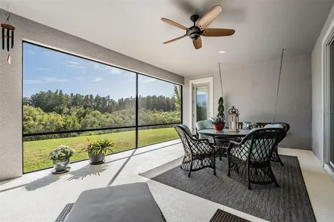 7694 Roma Dune Drive Wesley Chapel FL 33545