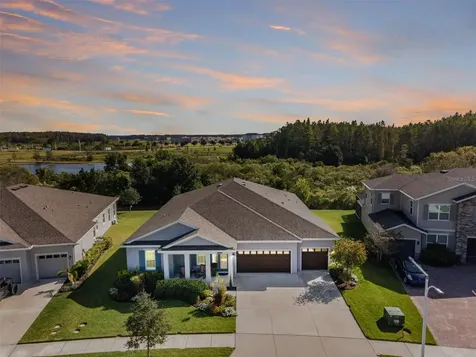7694 Roma Dune Drive Wesley Chapel FL 33545