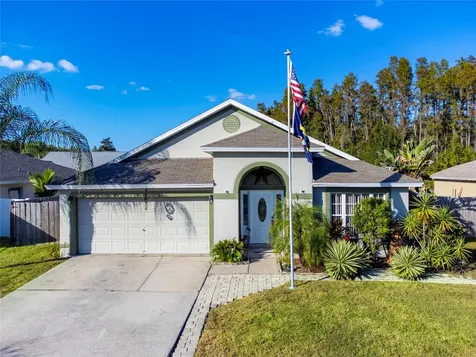 30823 Luhman Court Wesley Chapel FL 33543