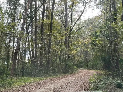 1602A SW Williston Road Gainesville FL 32608