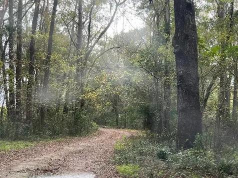 1602A SW Williston Road Gainesville FL 32608