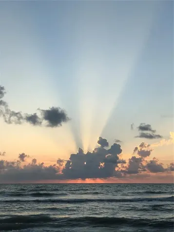 1460 Gulf Boulevard Clearwater FL 33767
