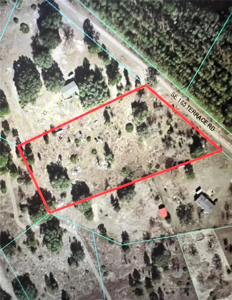 11070 SE 165th Terrace Road Ocklawaha FL 32179