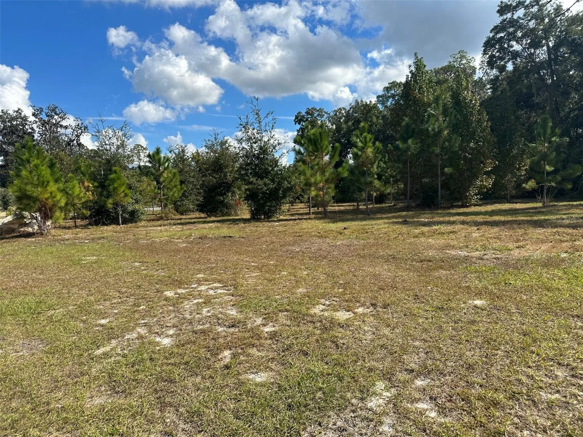 Tbd SW 24th Avenue Gainesville FL 32607