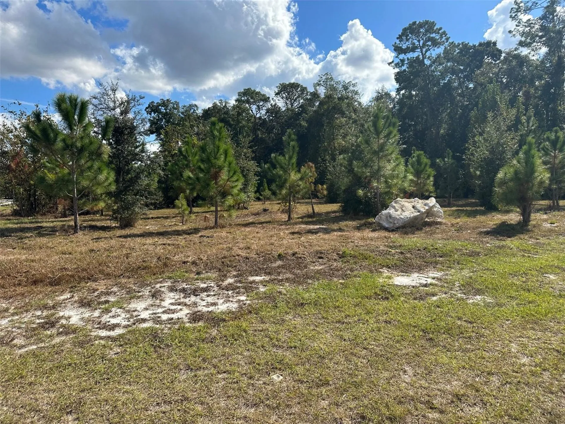 Tbd SW 24th Avenue Gainesville FL 32607