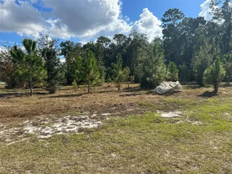 Tbd SW 24th Avenue Gainesville FL 32607