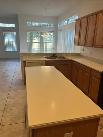 1709 Elsie Park Court Kissimmee FL 34744