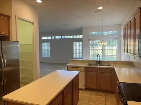 1709 Elsie Park Court Kissimmee FL 34744