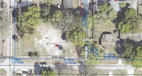 9904 N 14th Street Tampa FL 33612
