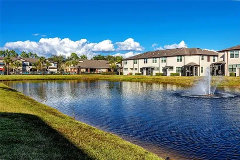 11627 Crowned Sparrow Lane Tampa FL 33626