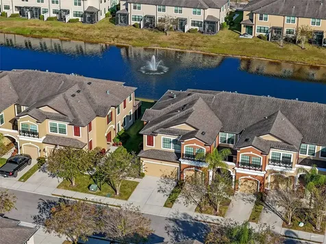 11627 Crowned Sparrow Lane Tampa FL 33626