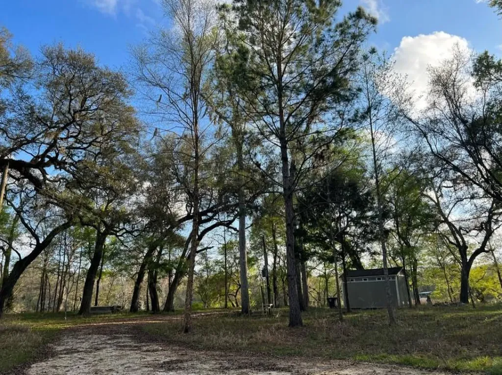 1263 NW 82nd Terrace Bell FL 32619
