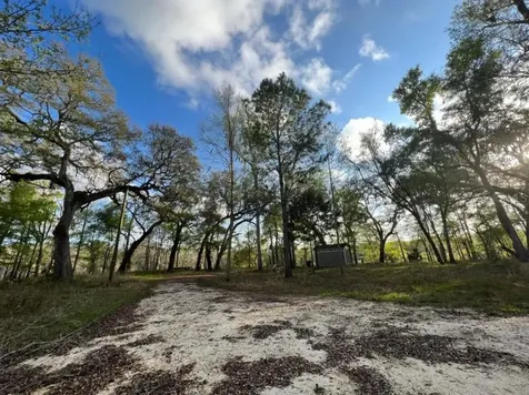 1263 NW 82nd Terrace Bell FL 32619