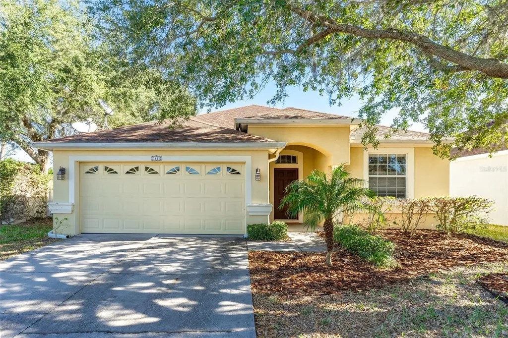 3842 Langdrum Drive Wesley Chapel FL 33543