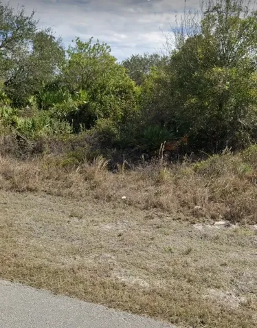 2507 33rd Street SW Lehigh Acres FL 33976