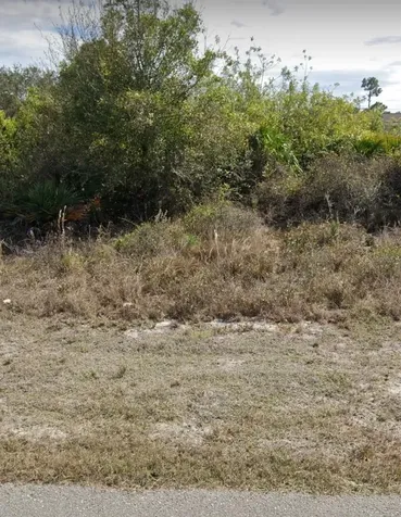 2507 33rd Street SW Lehigh Acres FL 33976