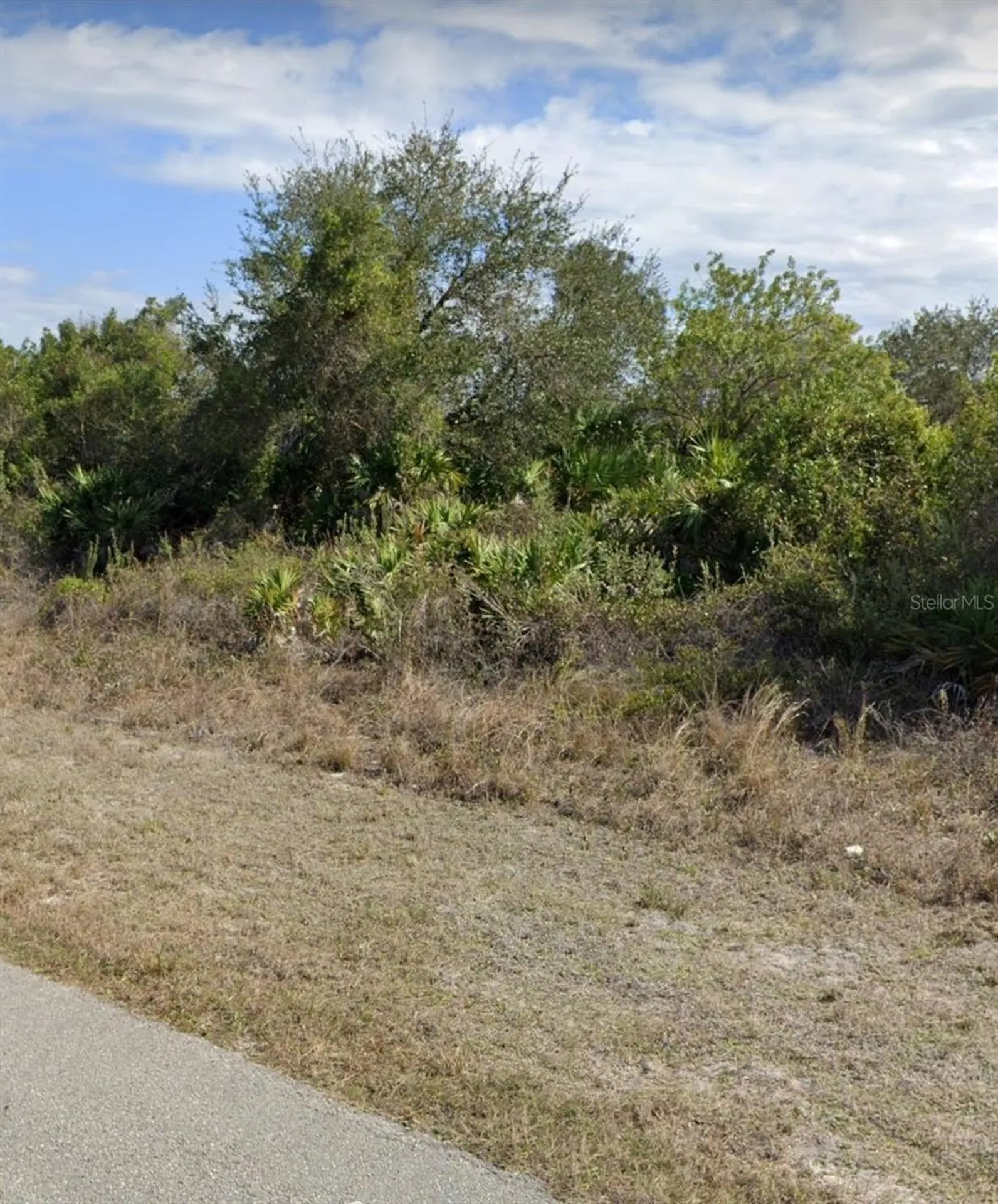 2509 33rd Street SW Lehigh Acres FL 33976