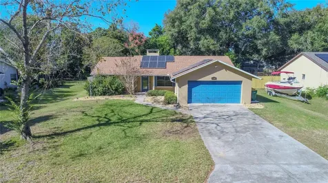 1702 Blackberry Court Eustis FL 32726