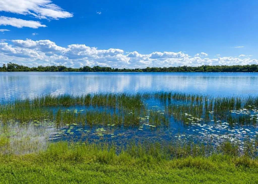 29 Ginger Quill Circle Lake Wales FL 33853