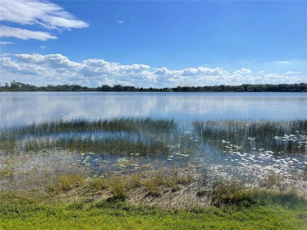 29 Ginger Quill Circle Lake Wales FL 33853