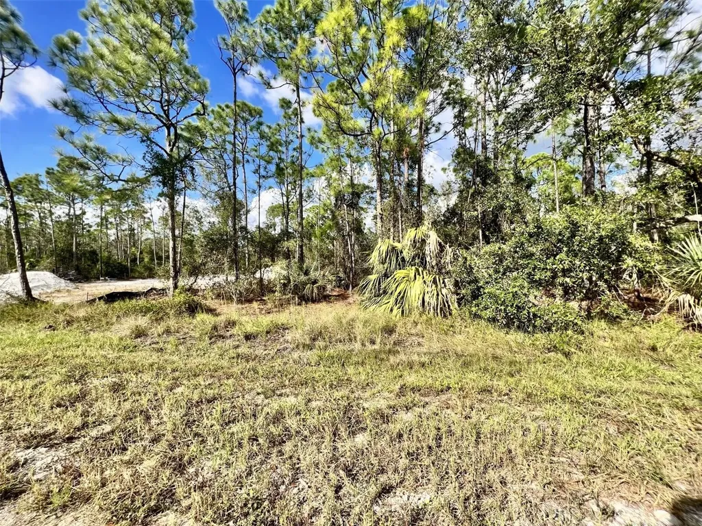 27076 Badger Drive Punta Gorda FL 33955