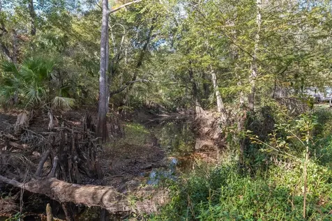 12786 SW 49th Terrace Webster FL 33597
