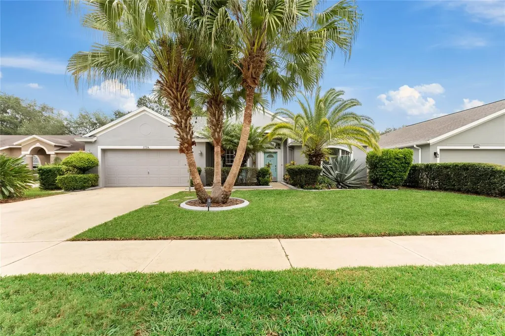 3724 Eaglewood Street Valrico FL 33596