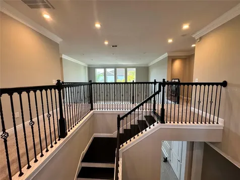 17503 Black Rail Street Windermere FL 34786