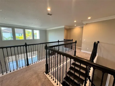 17503 Black Rail Street Windermere FL 34786