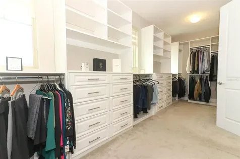 17503 Black Rail Street Windermere FL 34786